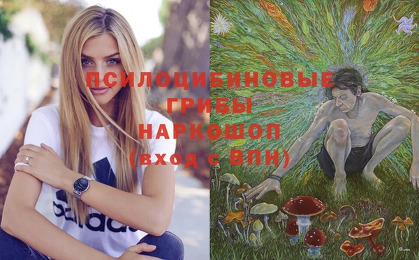 мяу мяу кристалл Покачи