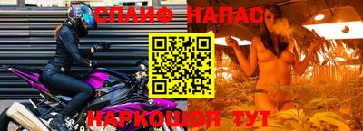 крисы Абакан