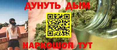 крисы Абакан