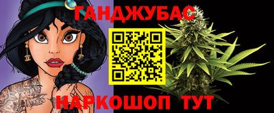 крисы Абакан
