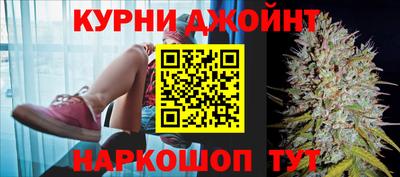 крисы Абакан