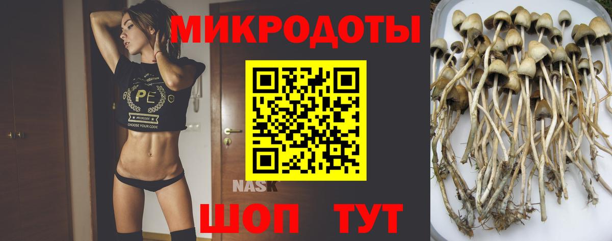 Галлюциногенные грибы мухоморы Абинск